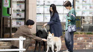 ぼくたちん家 kép