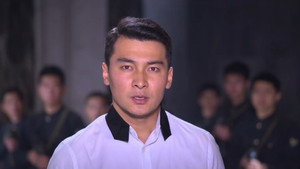 虎胆神鹰 1. évad Ep.30 30. epizód