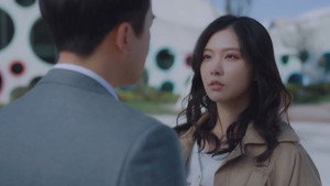 狐狸小姐不好惹 kép