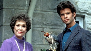 Falcon Crest kép