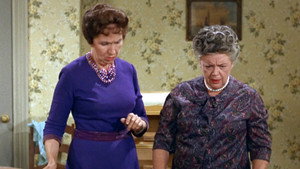 The Andy Griffith Show 6. évad Ep.19 19. epizód