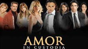 Amor en custodia kép
