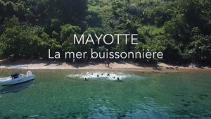 La ligne bleue Outre-mer 2. évad Ep.21 21. epizód