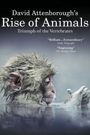 Az állatvilág története David Attenborough-val poszter