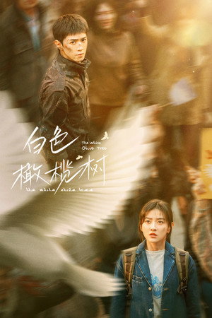 白色橄榄树 poszter