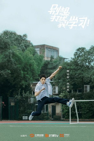 别想打扰我学习 poszter