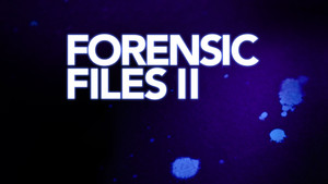 Forensic Files II kép