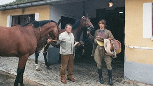 Obyčejná koňská historie kép