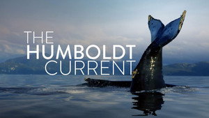 The Humboldt Current kép
