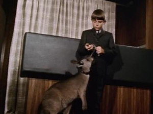 Skippy the Bush Kangaroo 1. évad Ep.32 32. epizód