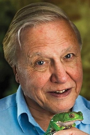 David Attenborough profil kép
