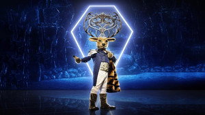 The Masked Singer kép