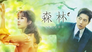 포레스트 kép