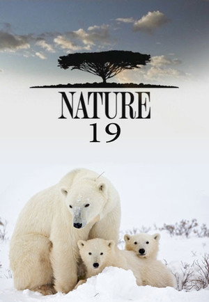 Nature 19. évad (2000-10-22) poszter
