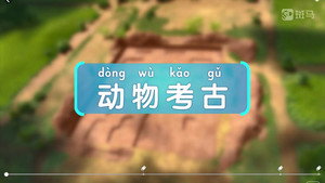 斑马百科 21. évad Ep.6 6. epizód