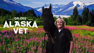 Dr. Dee: Alaska Vet kép