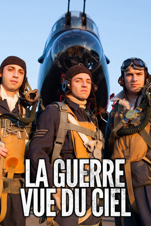 War Heroes of the Skies poszter