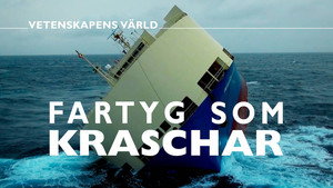 Vetenskapens värld 48. évad Ep.27 27. epizód