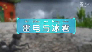 斑马百科 26. évad Ep.6 6. epizód