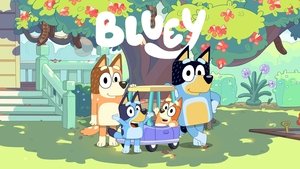 Bluey kép