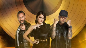 Talento Fox kép