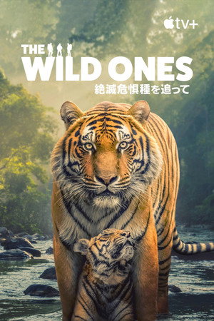 The Wild Ones poszter