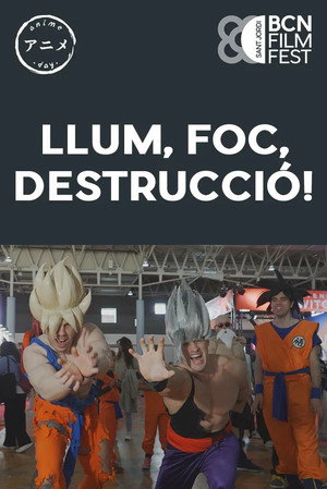 Llum, foc, destrucció! poszter