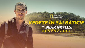 Bear Grylls - Sztárok a vadonban: A kihívás kép