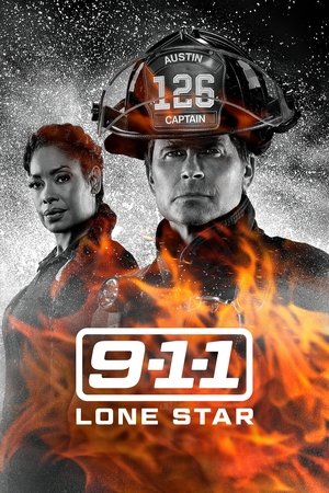 911-Texas poszter