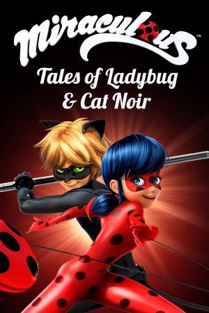 Miraculous Katicabogár és Fekete Macska kalandjai poszter