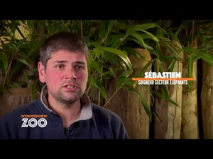 Une saison au zoo 5. évad Ep.29 29. epizód