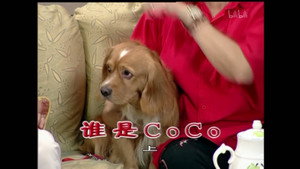 外来媳妇本地郎 4. évad Ep.1612 1612. epizód