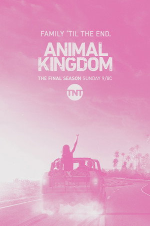 Animal Kingdom poszter