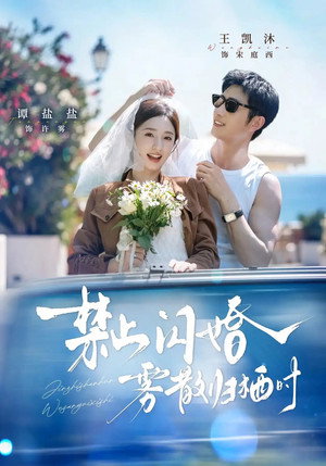 禁止闪婚，雾散归栖时