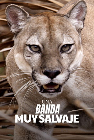 Una banda muy salvaje 1. évad (2024-01-22) poszter
