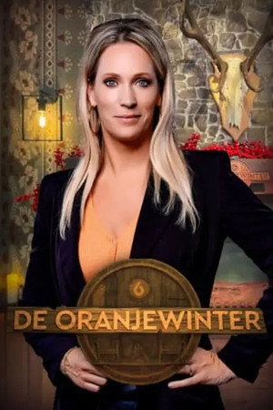 De Oranjewinter poszter