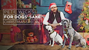 Pete Wicks: For Dogs’ Sake Speciális epizódok Ep.1 1. epizód