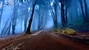 These Woods Are Haunted kép