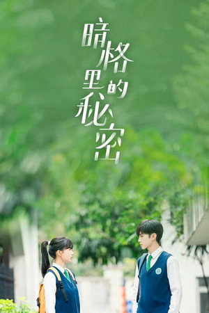 暗格里的秘密 poszter