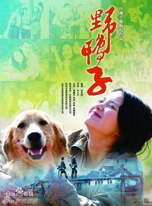 野鸭子 1. évad (2011-01-17) poszter