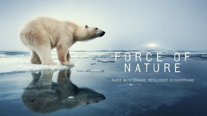 Force of Nature kép