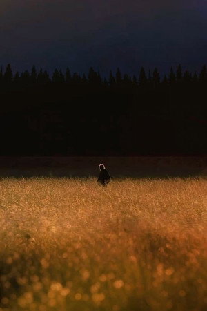 The Walking Dead poszter