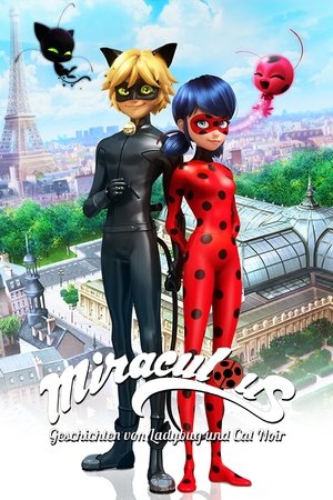 Miraculous Katicabogár és Fekete Macska kalandjai poszter