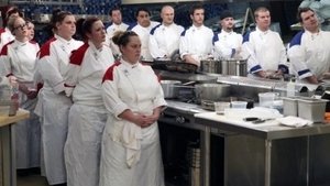 Gordon Ramsay - A pokol konyhája 8. évad Ep.1 16 szakács versenyez