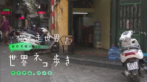 岩合光昭の世界ネコ歩き 1. évad Ep.36 36. epizód