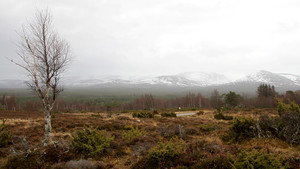 The Great British Winter 1. évad Ep.3 3. epizód
