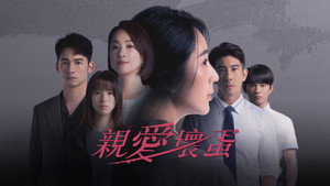 親愛壞蛋 kép