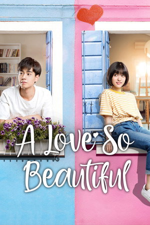 A Love So Beautiful poszter