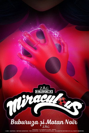 Miraculous Katicabogár és Fekete Macska kalandjai poszter