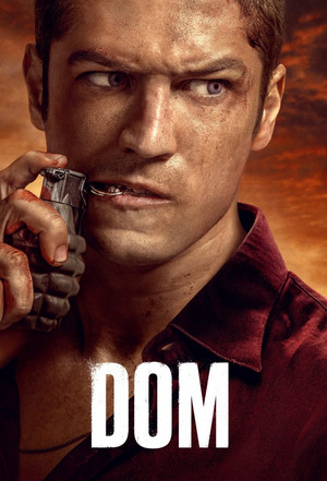 DOM poszter